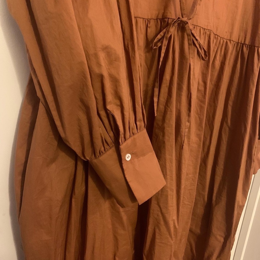 A Bronze Age Relaxed Puff Sleeve Midi Dress in Warm Rust - Picture 3 of 5